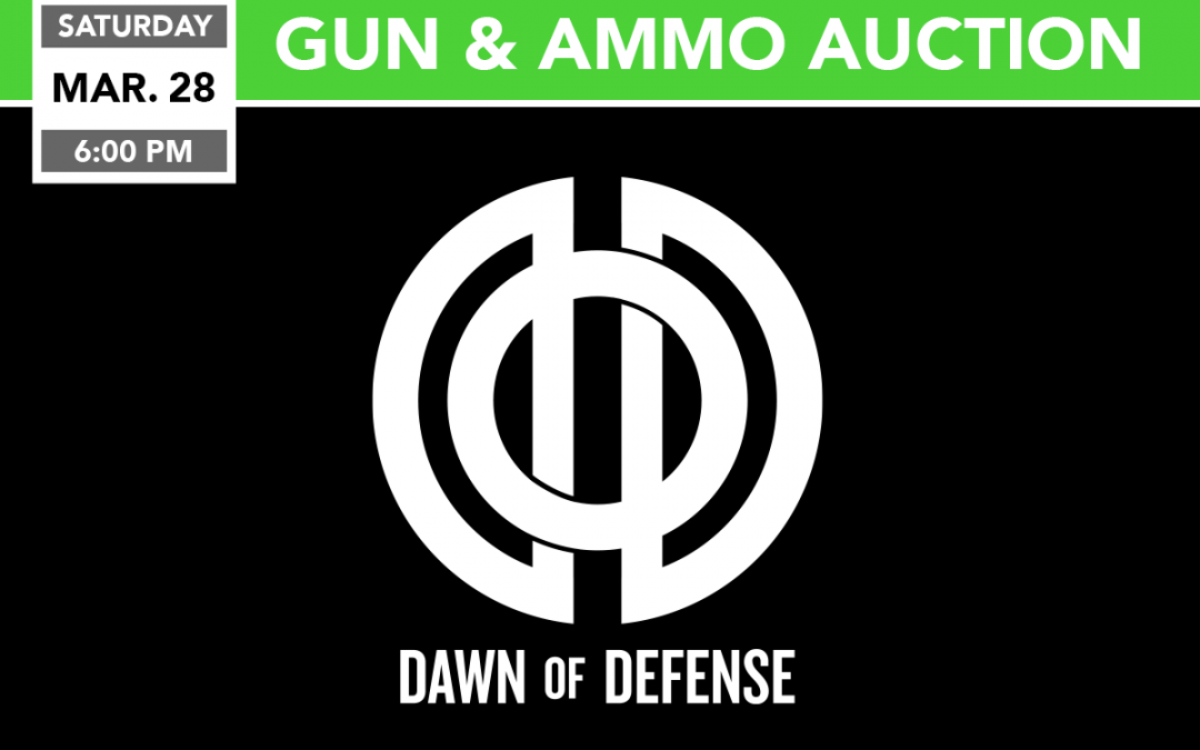 Gun and Ammo Auction