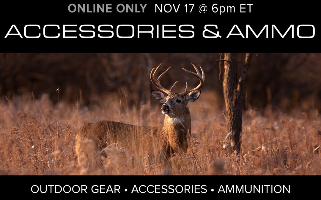 Outdoors, Accessories & Ammo