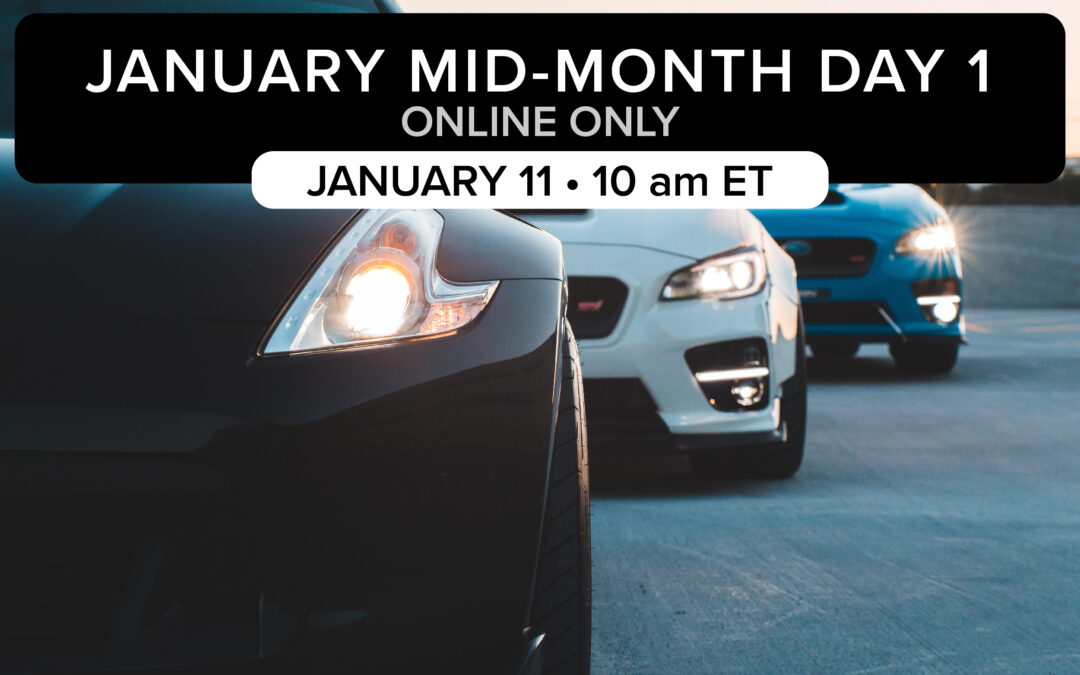January Mid-Month Day 1 Auction | January 11